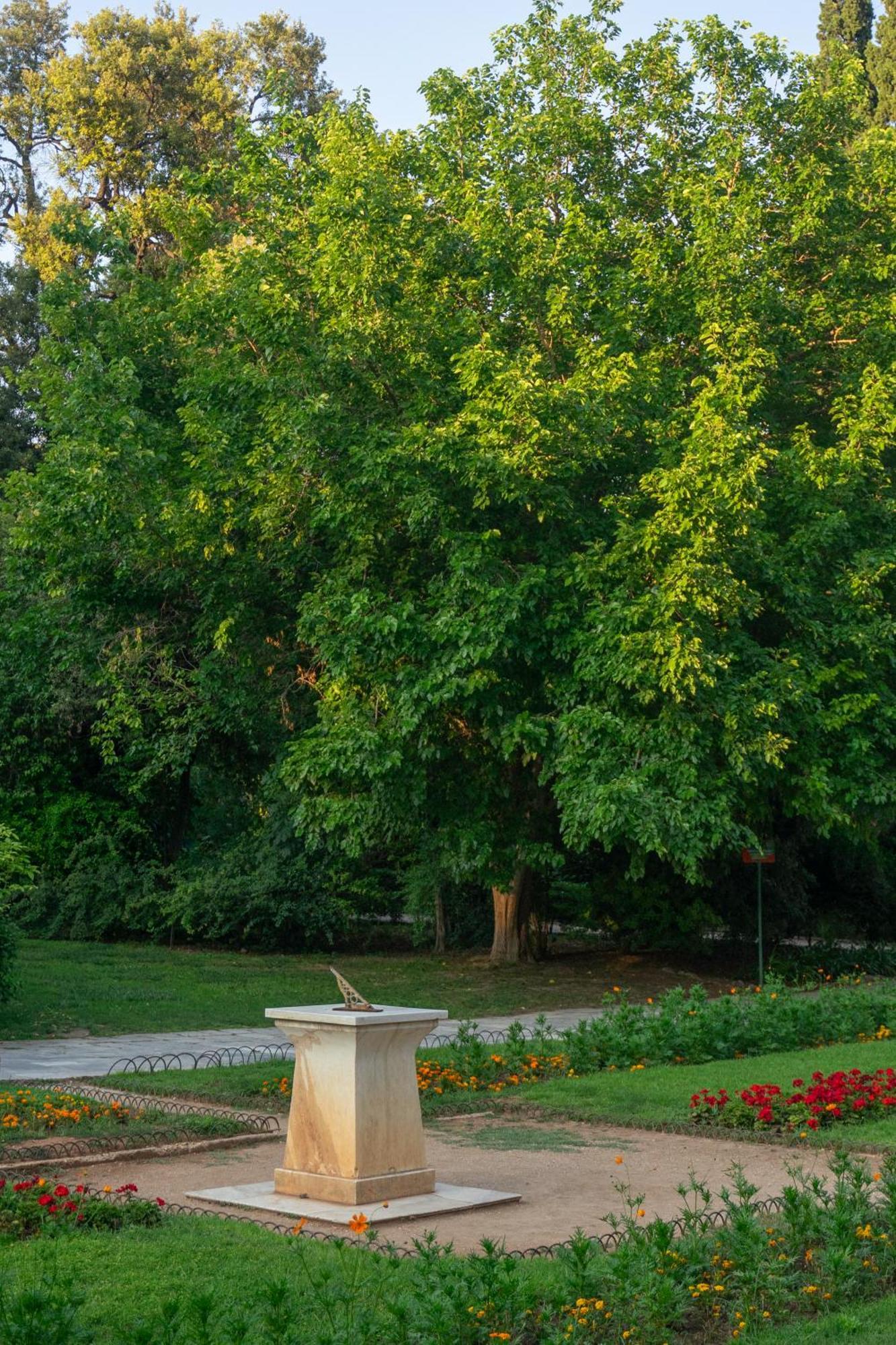 Ivy Apartments In The Heart Of Atenas Exterior foto